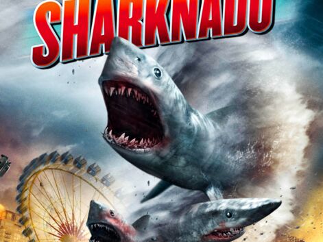 Sharknado, Sharktopus, Snow Shark... les pires films de requins