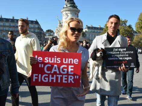 Pamela Anderson, Delphine Wespiser, Hugo Clément... ils s'engagent pour la cause animale