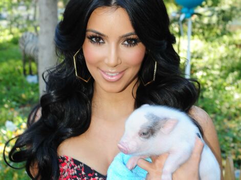Paris Hilton, Miley Cyrus, Mario Balotelli... découvrez ces stars qui ont adopté un cochon !