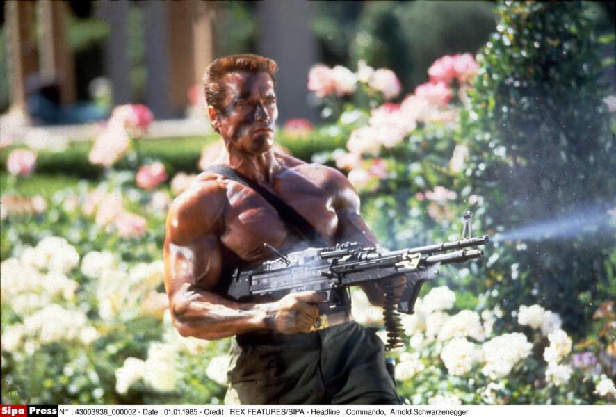 Film Avec Stallone Schwarzenegger Van Damme Schwarzenegger, Stallone, Van Damme : les plus beaux biscotos des
