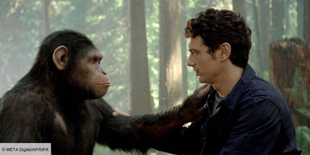 La Planete Des Singes L Affrontement W9 Pourquoi James Franco N Est Pas Dans La Suite