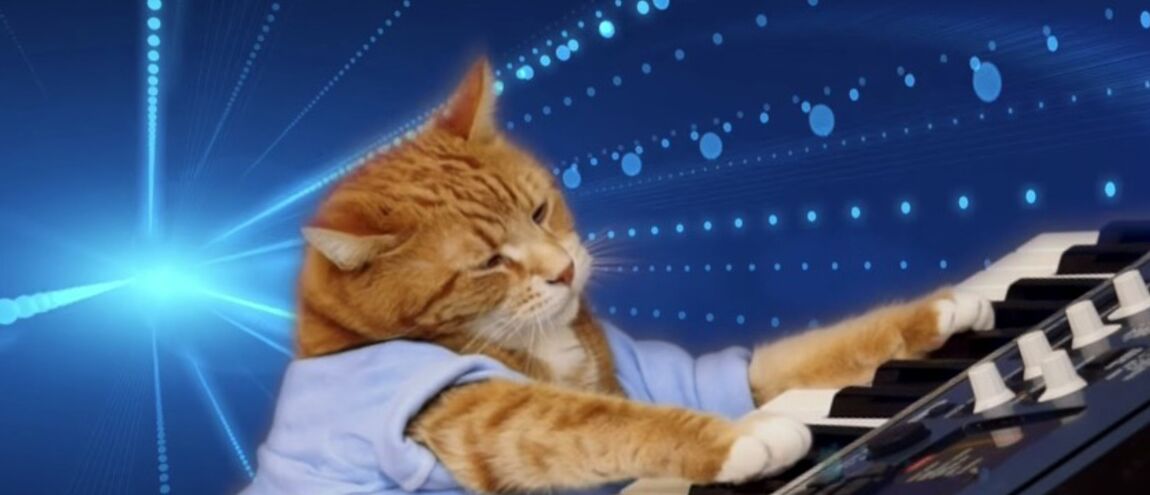 Mort De Keyboard Cat Le Chat Star Dinternet à 9 Ans