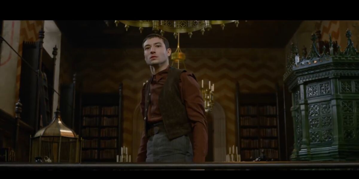 Les Animaux Fantastiques Streaming Amazon Prime Les animaux fantastiques 2 : quel est le lien entre Dumbledore et
