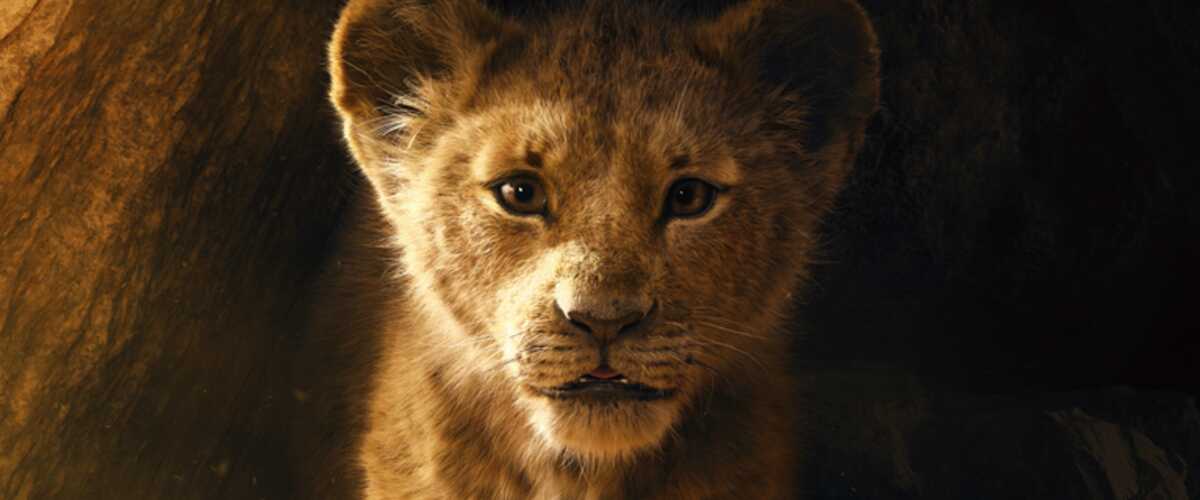 Le Roi Lion 4 Date De Sortie Le Roi Lion : date de sortie, affiche, casting, intrigue… Toutes les