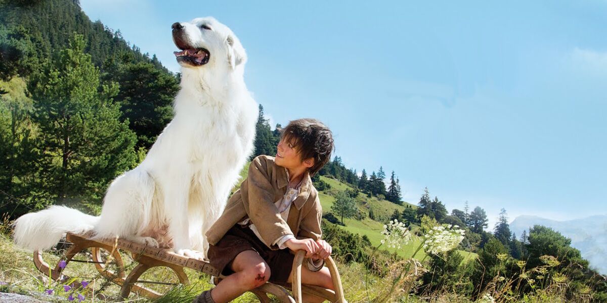 Quelle Est La Race Du Chien Dans Belle Et Sebastien Belle et Sebastien 2 (W9) : combien de chiens incarnent Belle dans le