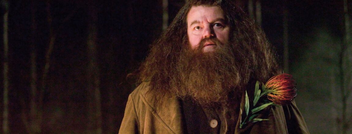 Robbie Coltrane Affaibli Et Malade L Interprete D Hagrid Dans