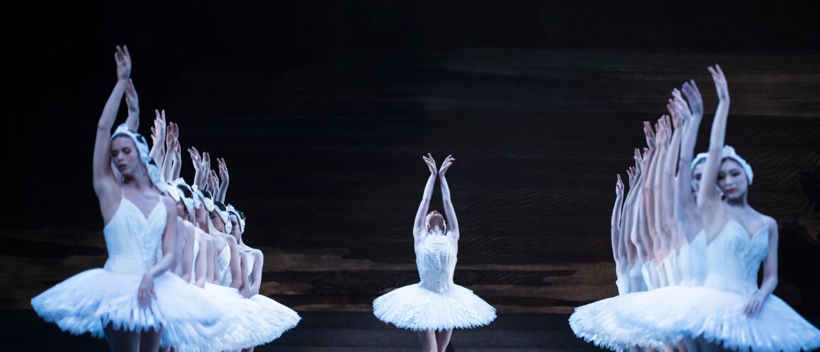 Le Lac Des Cygnes (France 5) : Histoire D’un Ballet éternel