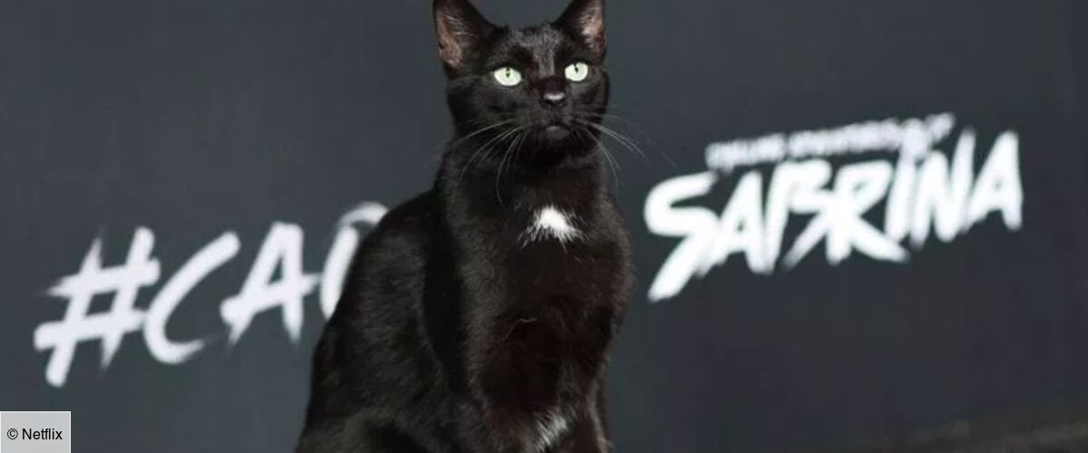 The Magicians Saison 3 Prime Video Indisponible Pourquoi Les Nouvelles aventures de Sabrina (Netflix) : pourquoi son chat Salem