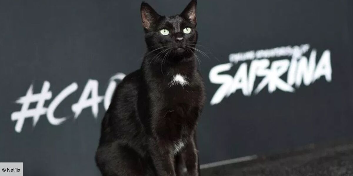 Les Nouvelles Aventures De Sabrina Netflix Pourquoi Son Chat Salem Ne Parle T Il Plus Video Flipboard