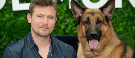 Rex Le Chien Policier Bientôt De Retour Sur France