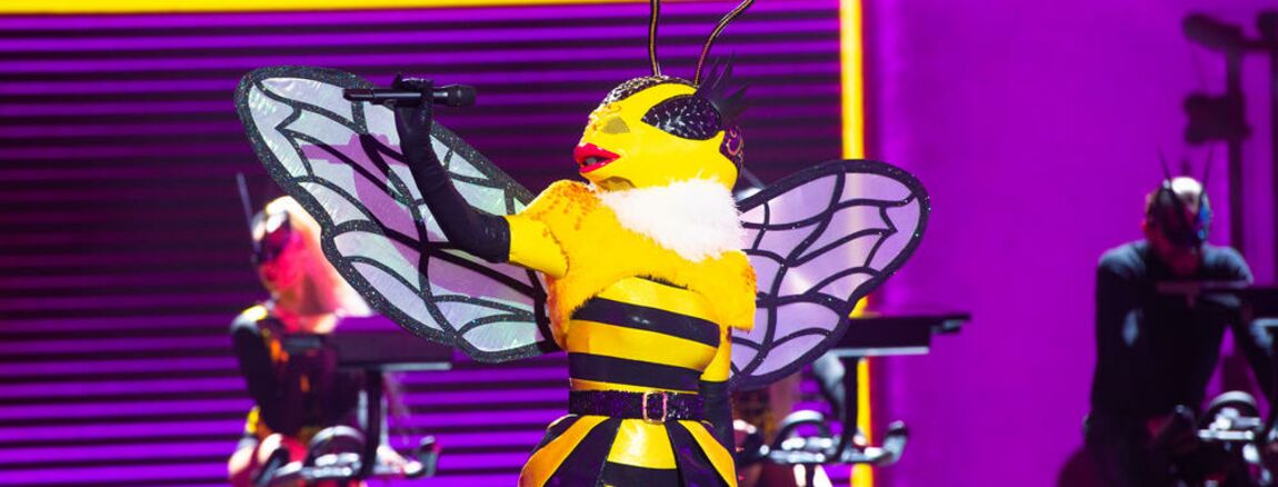 Mask Singer découvrez le prix fou des costumes ! (VIDEO)