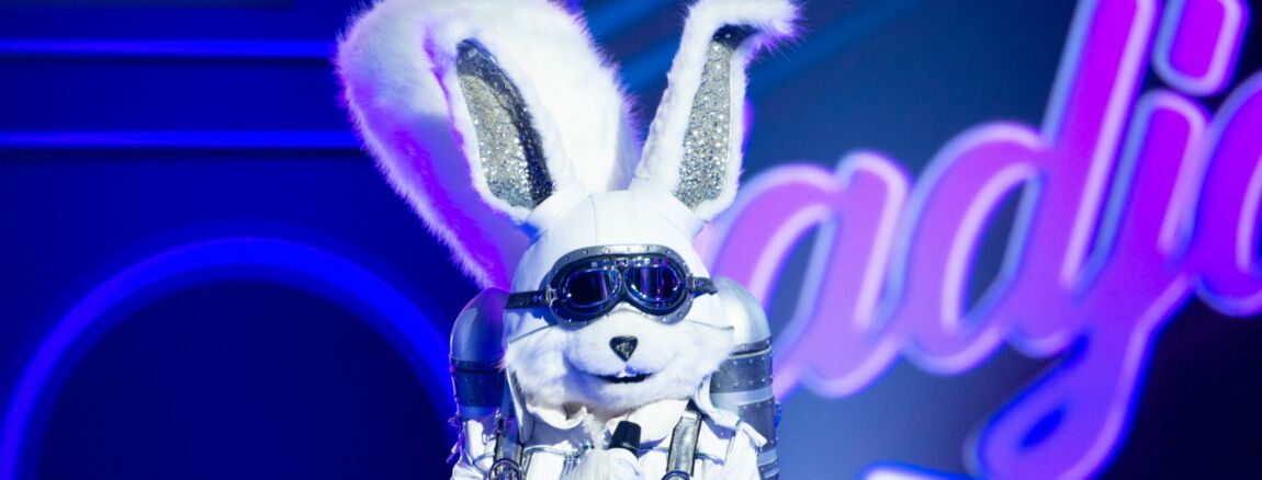 Mask Singer le costume de l\u0027écureuil jugé pas du tout