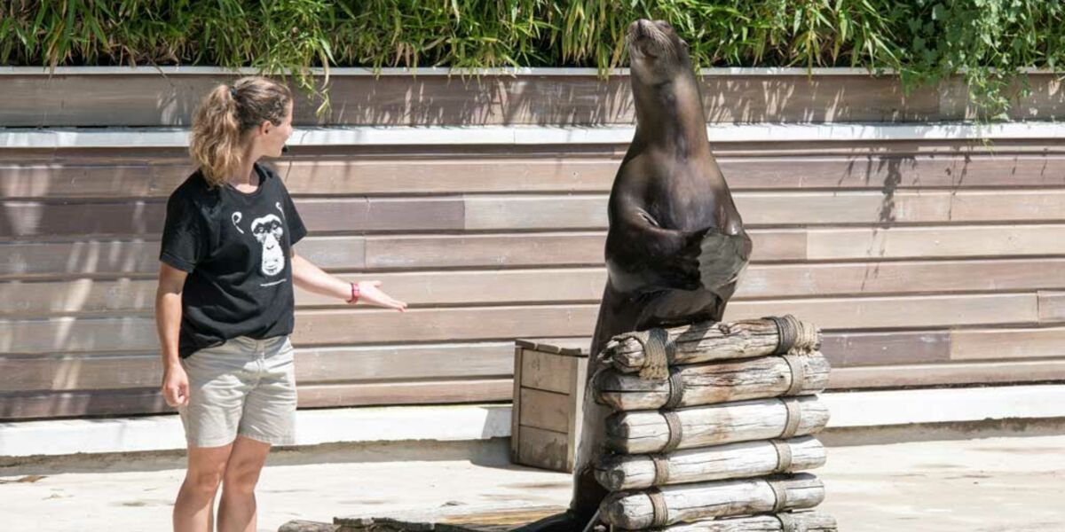 Une Saison Au Zoo France 4 Horaire Exclu. Une saison au zoo : la série doc continuera après l'arrêt de