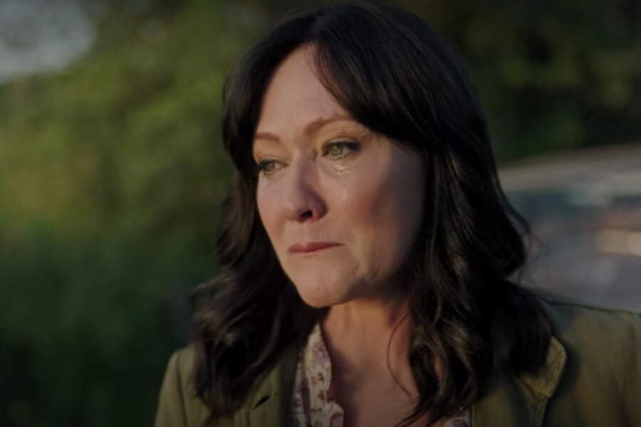 De La Petite Maison dans la prairie à Beverly Hills, la carrière de