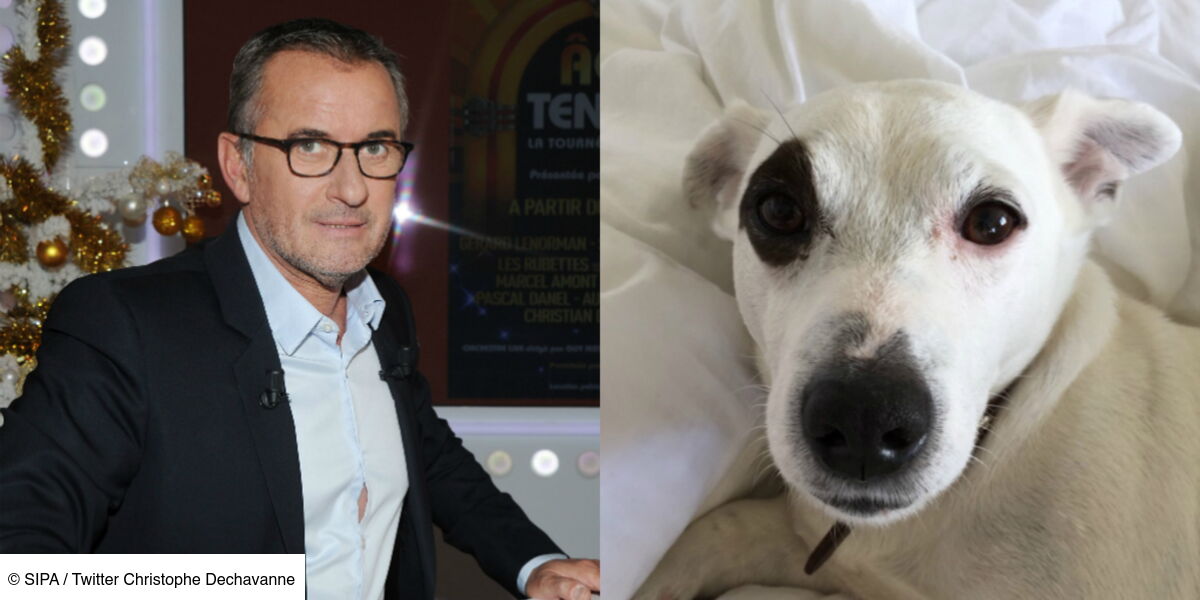 Christophe Dechavanne très touché par le soutien des internautes : il ...