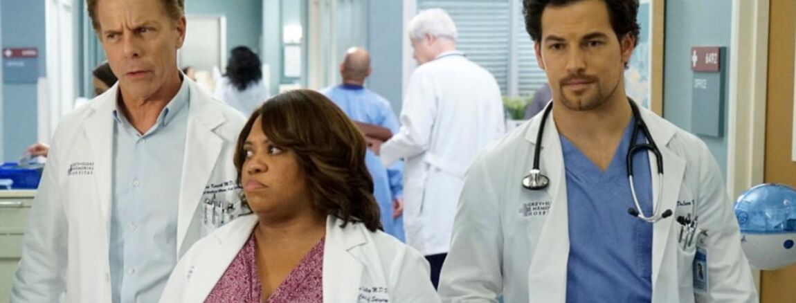 Date De Sortie Saison 17 Grey's Anatomy En France Grey's Anatomy - la série