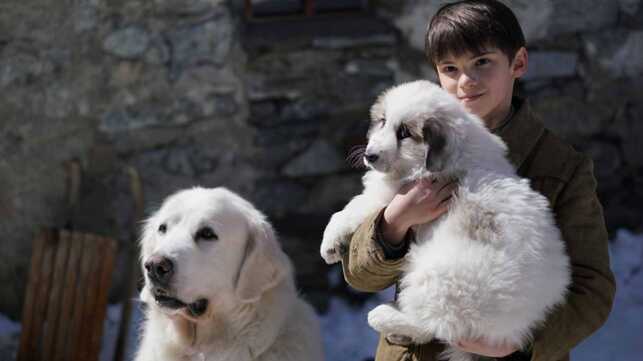 Race Du Chien Dans Belle Et Sébastien Belle et sébastien 3 : les chiens au cinéma dans tous leurs états ! (36