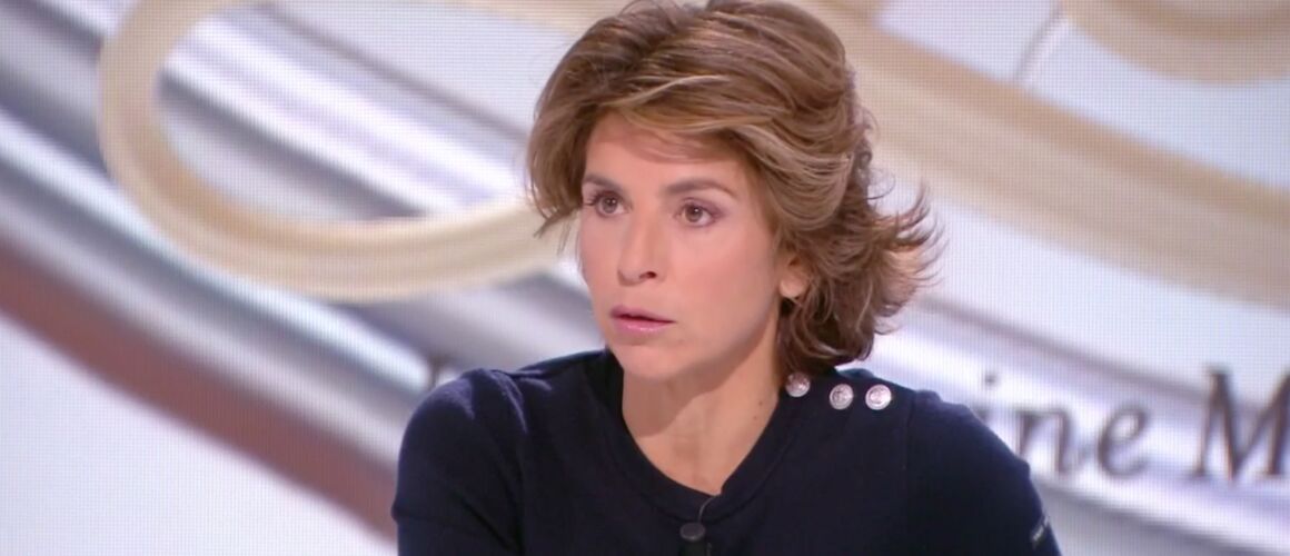 Anne Nivat conspue la "chaîne de propagande" RT France et ...