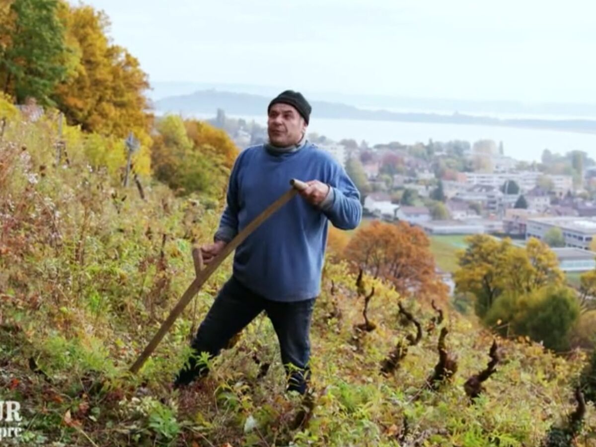 L'amour est dans le pré 2021 : où se situe le canton de Berne où vit Jean-Daniel, l'agriculteur suisse ?