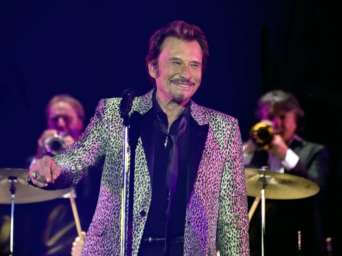 Netflix va produire une série documentaire sur Johnny Hallyday en cinq épisodes