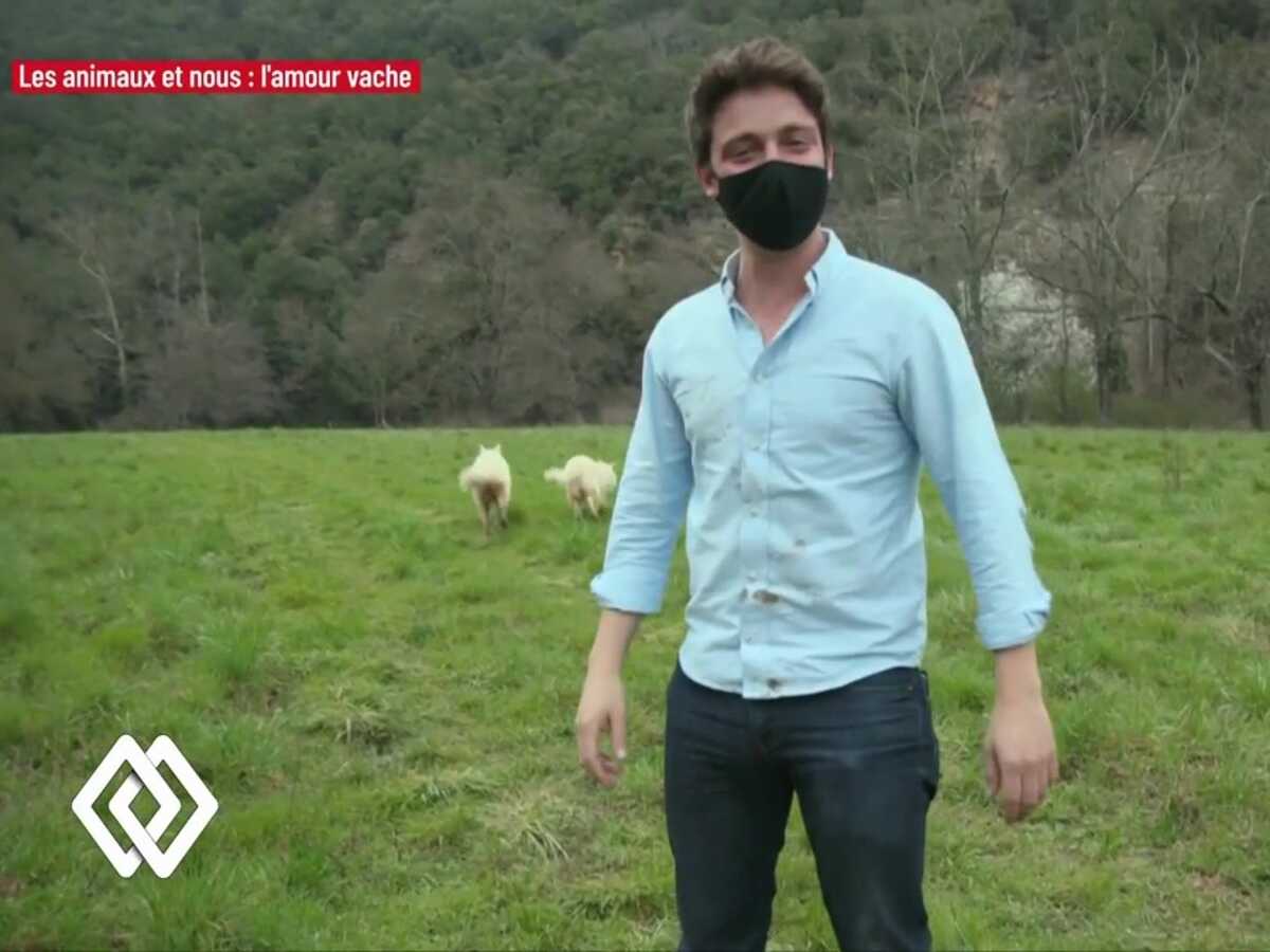 Il t'a flingué ta chemise ! : la drôle de mésaventure de Martin Weill avec les chiens de Julien Doré !