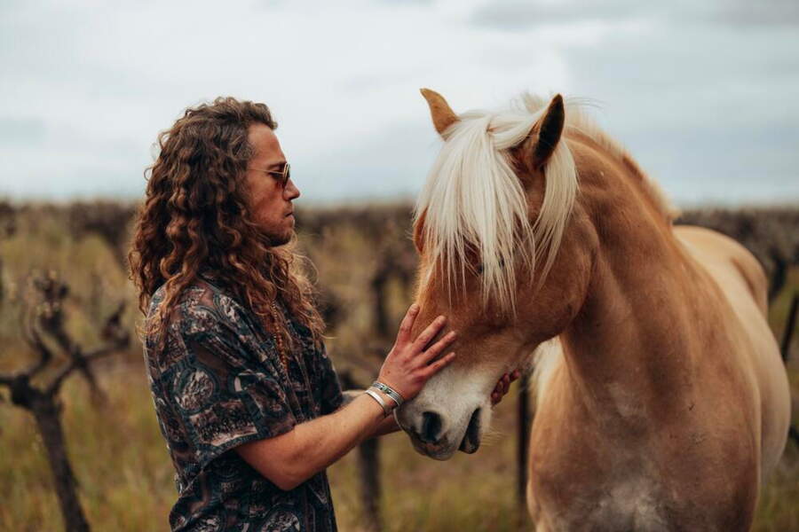 Panda : Julien Doré, Ophelia Kolb, Gustave Kervern... qui joue dans la ...