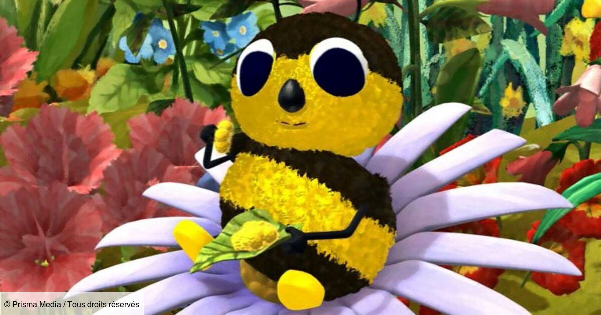 Épisodes Drôles de petites bêtes TéléLoisirs Épisodes Drôles de petites bêtes TéléLoisirs