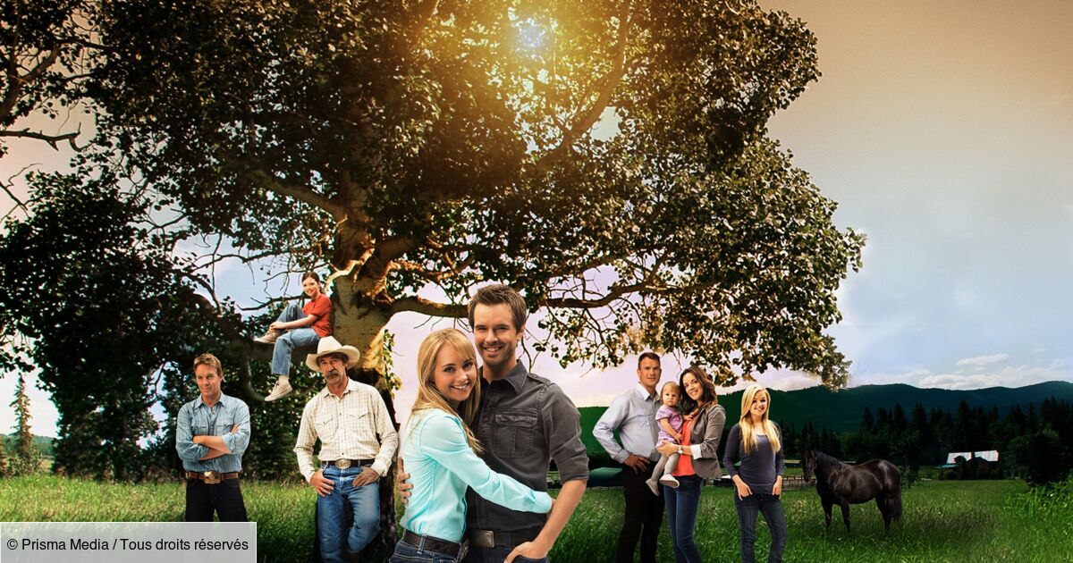 Amber Marshall Et Graham Wardle Rupture Heartland