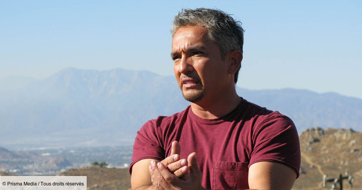 L Homme Qui Voulait Passer à La Télé Épisodes César, l'homme qui parlait aux chiens - Télé-Loisirs