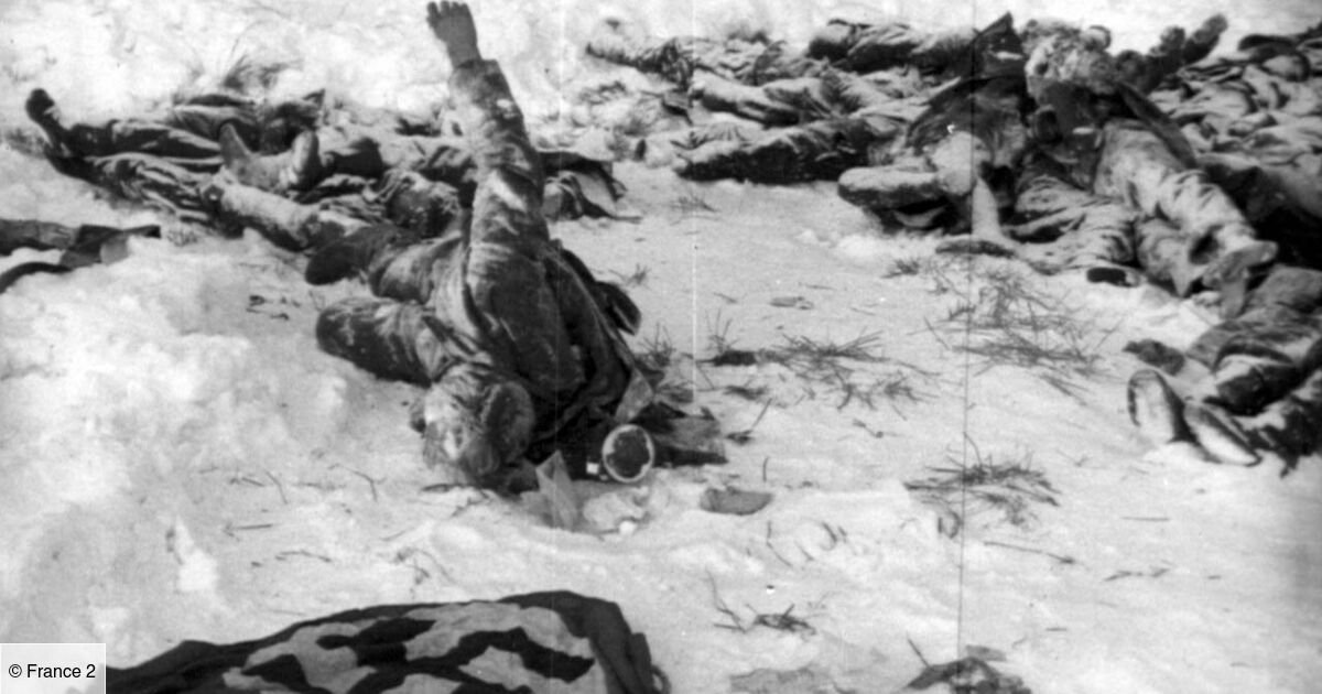 Bataille De Stalingrad Nombre De Morts Stalingrad
