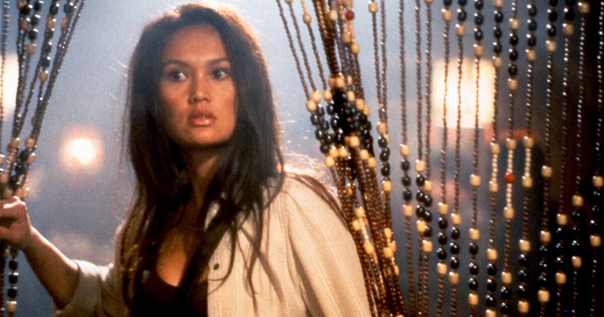 Que Sont Devenus Les Acteurs De Sydney Fox Sydney Fox, l'aventurière - lundi 29 juin à 13h00