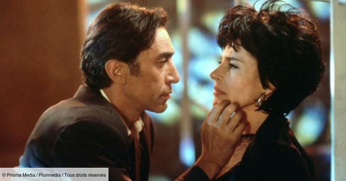 Films Et Séries Tv Avec Dominique Guillo Pédale douce