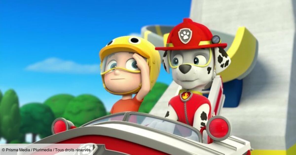 Paw Patrol La Patpatrouille