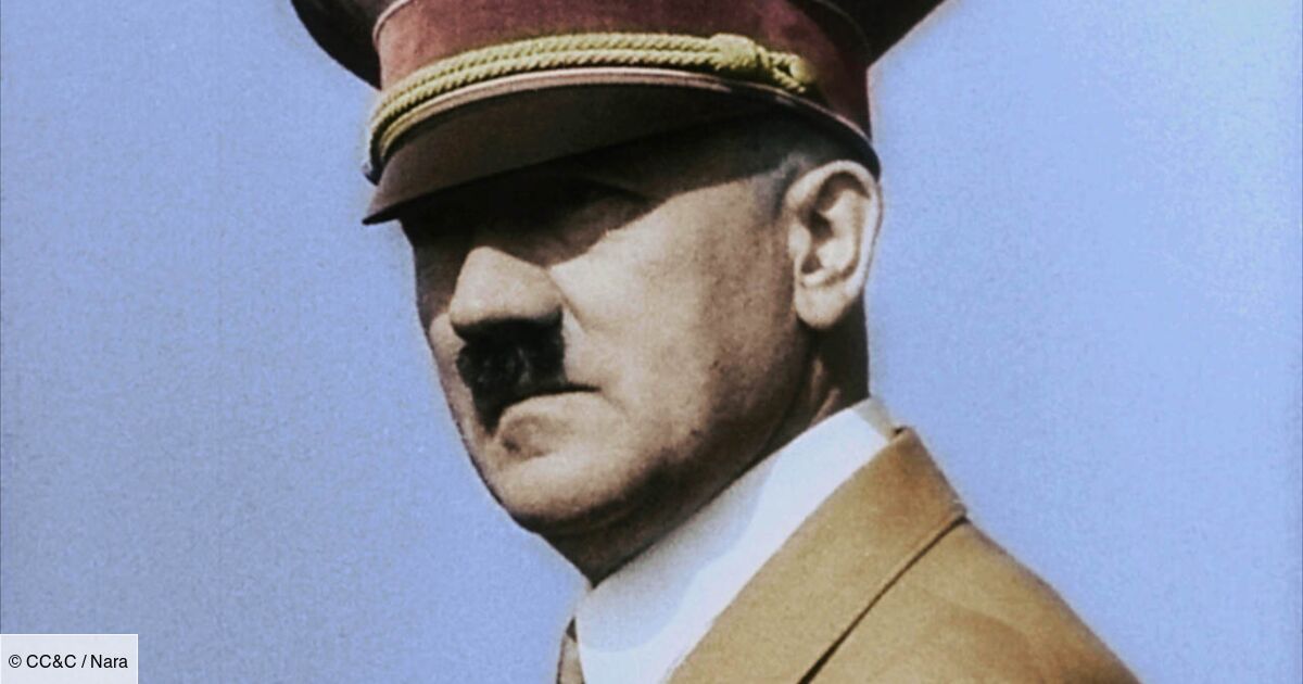 Hitler Il Est De Retour Streaming Apocalypse Hitler