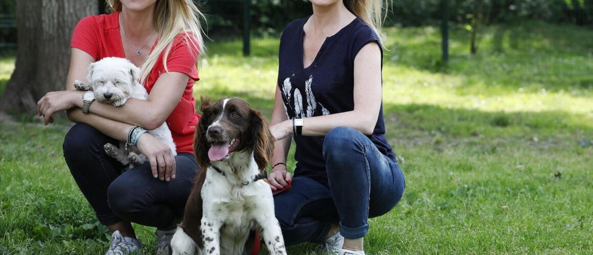 Animaux à adopter nouvelle famille pour une nouvelle vie