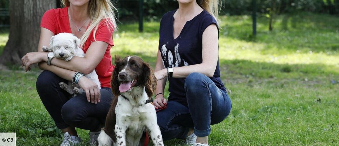 Animaux à Adopter Nouvelle Famille Pour Une Nouvelle Vie 2021 Animaux à adopter : nouvelle famille pour une nouvelle vie - Télé-Loisirs