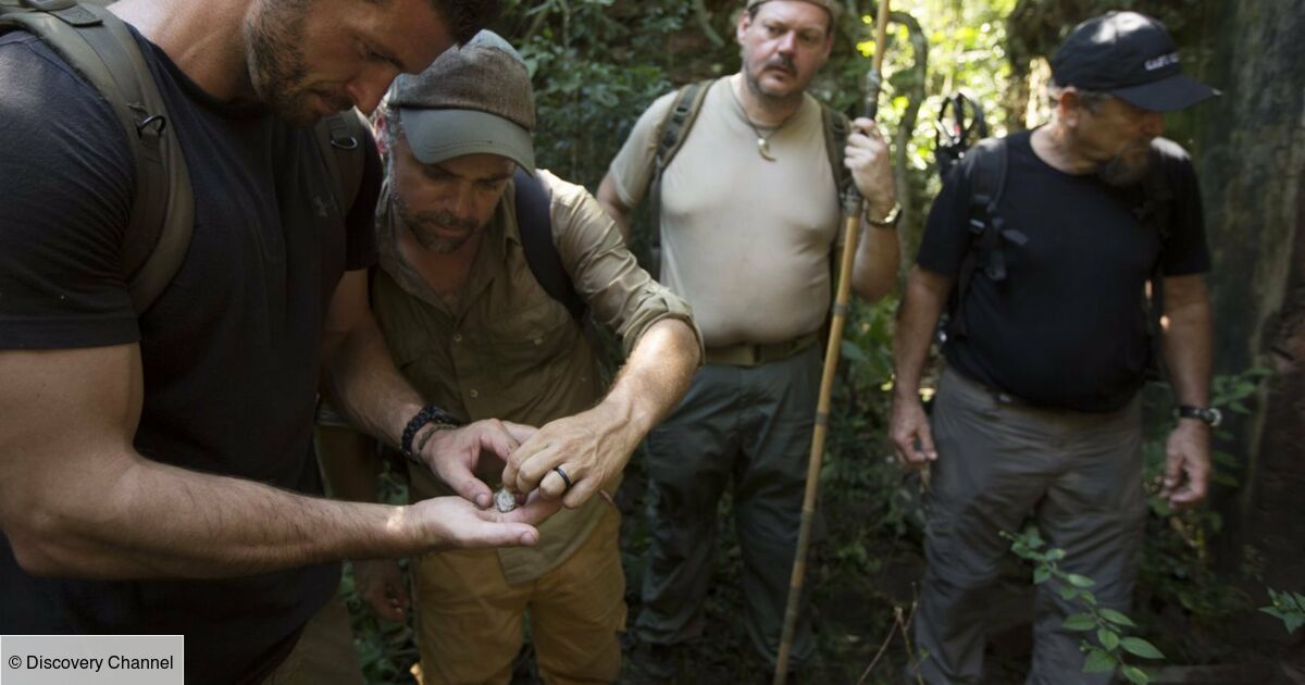 Chasseurs De Trésor L'île Aux Serpents Saison 4 Chasseurs de trésor : L'île aux serpents