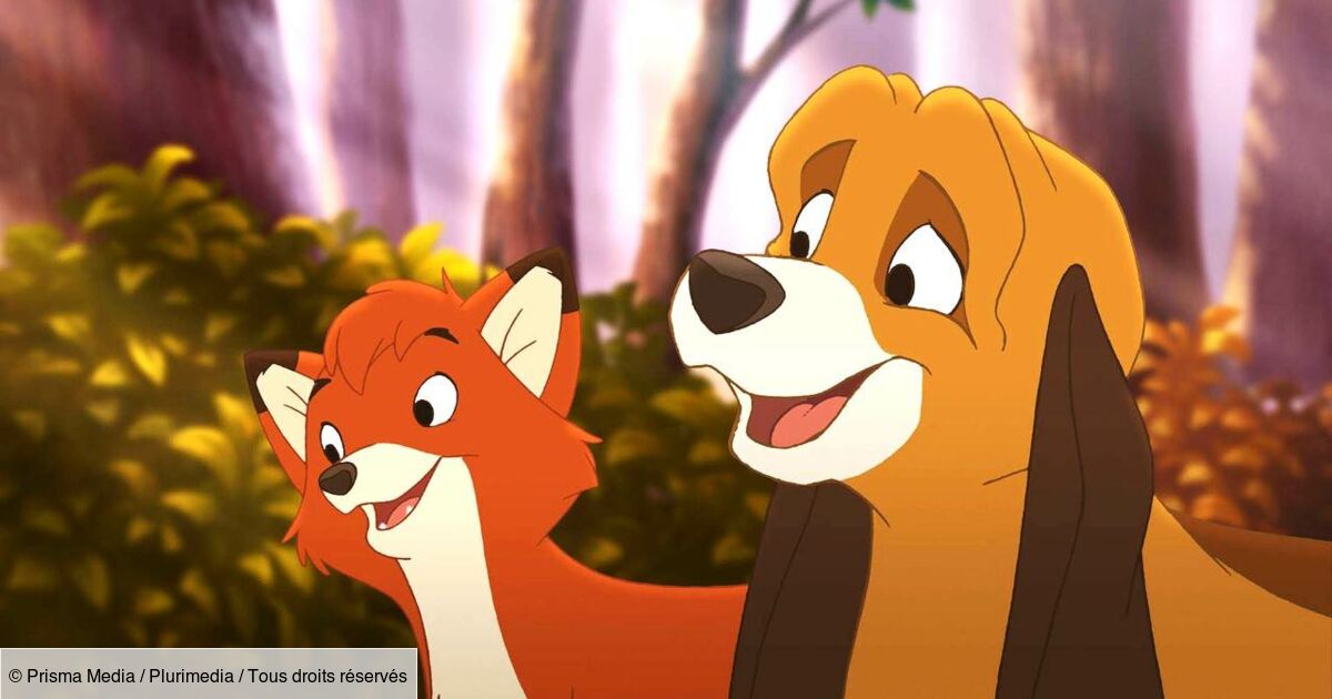 Rox et Rouky 2