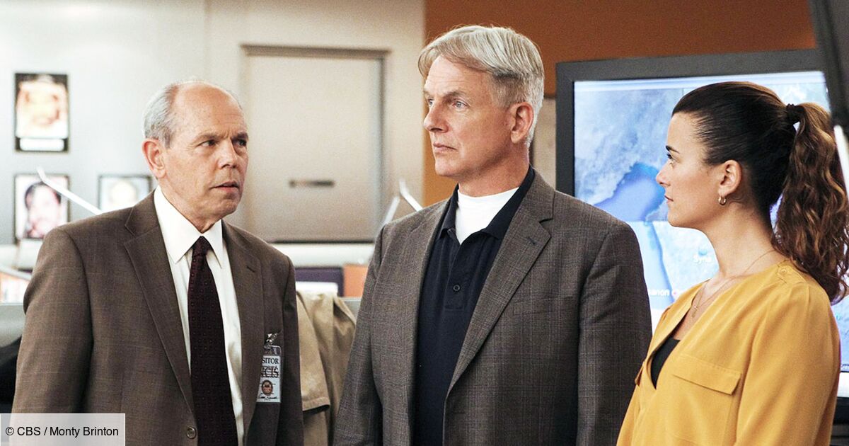 Ncis Enquêtes Spéciales Saison 17 Streaming NCIS : enquêtes spéciales