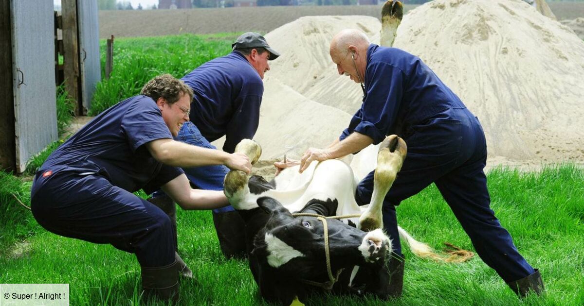De Quoi Est Mort Le Docteur Pol L'incroyable Dr Pol