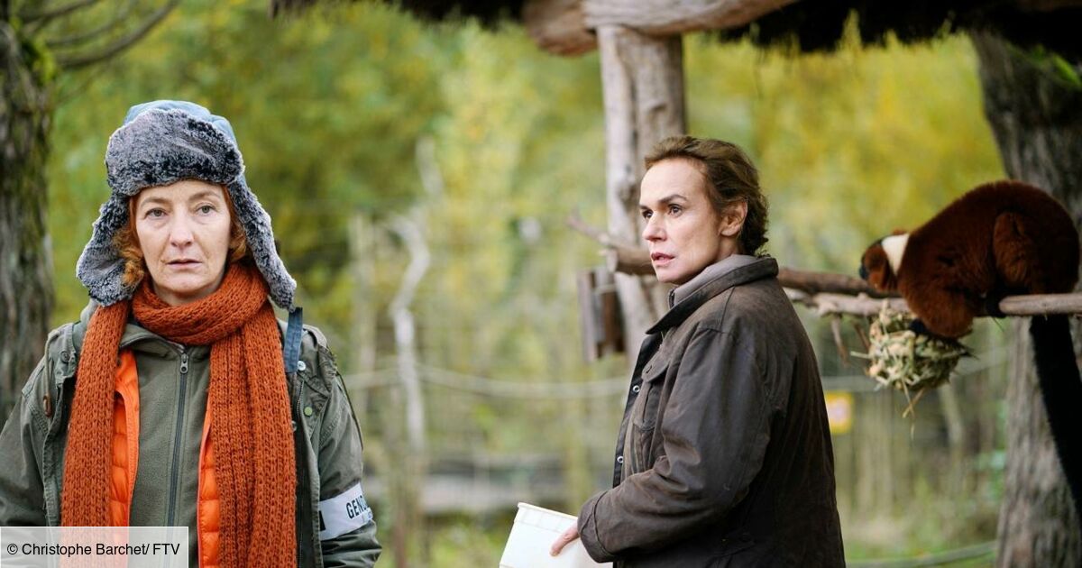 Capitaine Marleau Saison 2 Episode 6 Capitaine Marleau