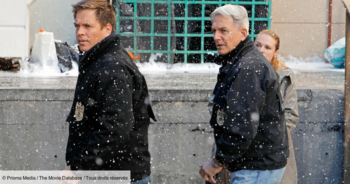 Ncis Mort De La Femme De Palmer NCIS : enquêtes spéciales