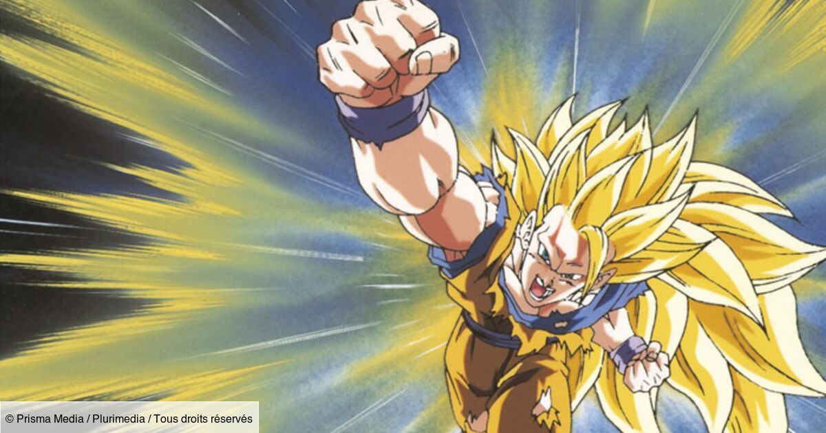 Dragon Ball Z : L'attaque Du Dragon Dragon Ball Z : L'attaque du dragon