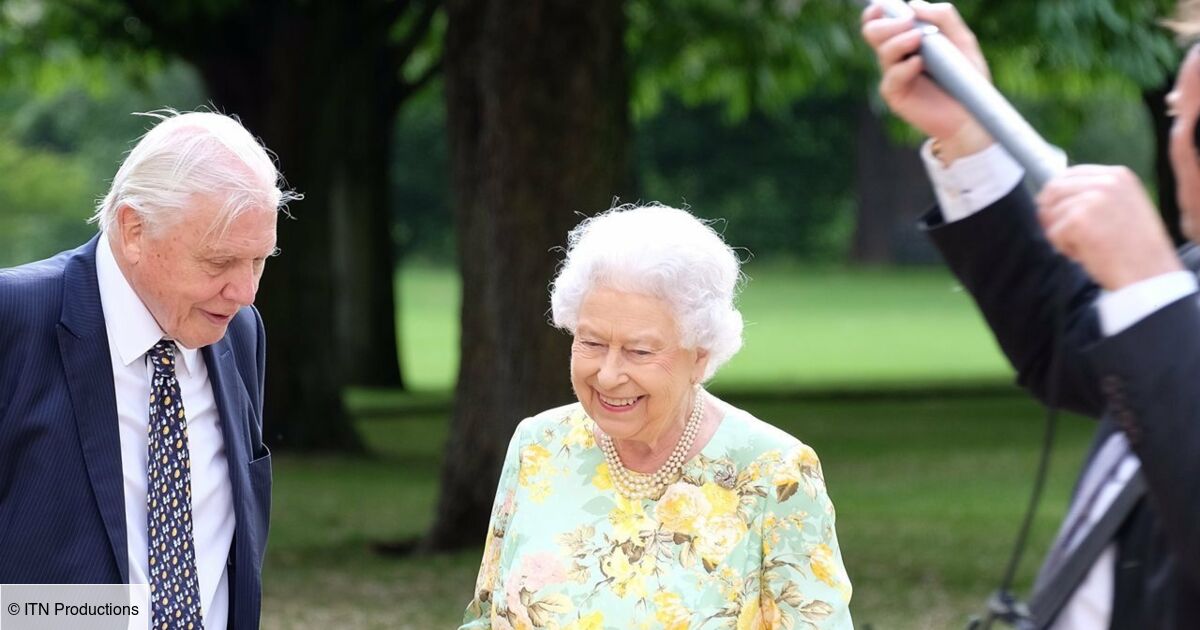 David Attenborough Emissions Et Séries Tv La reine et la planète