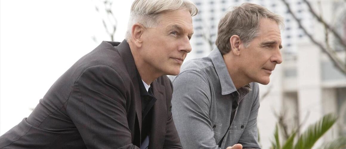 Distribution De Saison 19 De Ncis : Enquêtes Spéciales Le privilégié - (S11E19) - NCIS : enquêtes spéciales - Télé-Loisirs
