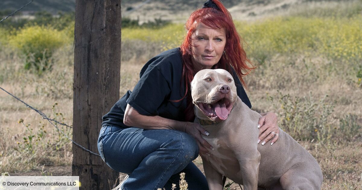 Pitbull Et Prisonnier Que Sont Ils Devenus
