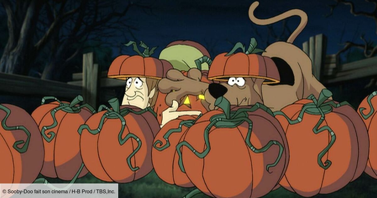Scooby Doo Et Le Fantome De La Sorciere Scooby-Doo et la créature des ténèbres