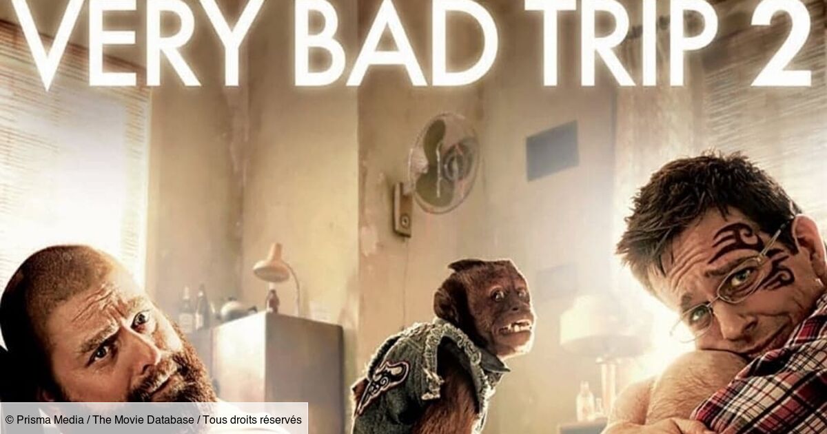 Very Bad Trip 2 Amazon Prime Casting Very Bad Trip 2 - Comédie - Télé-Loisirs
