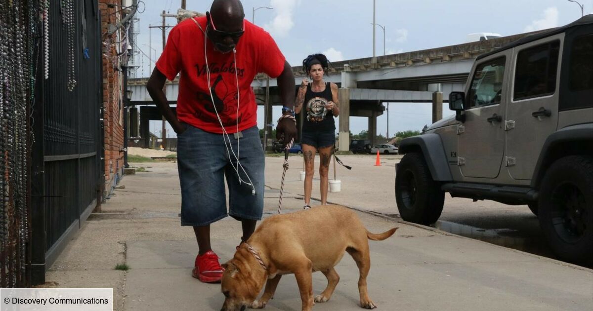 Pitbull Et Prisonnier Que Sont Ils Devenus Pitbulls et prisonniers