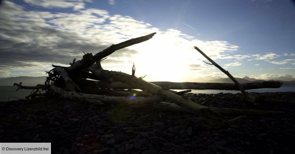 Alaska La Dernière Frontière Saison 10 Alaska : La dernière frontière